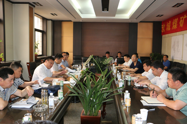 济宁市煤炭局到欢城煤矿检查指导工作 (2).JPG